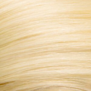 Bleach White Blonde (#613) 7 Piece Remy Human Hair Clip-in