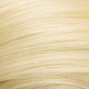 Bleach White Blonde (#613) 10 Piece Remy Human Hair Clip-in