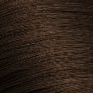 Dark Brown (#2) 10 Piece Remy Human Hair Clip-in