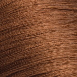 Strawberry Blonde (#27) 10 Piece Remy Human Hair Clip-in